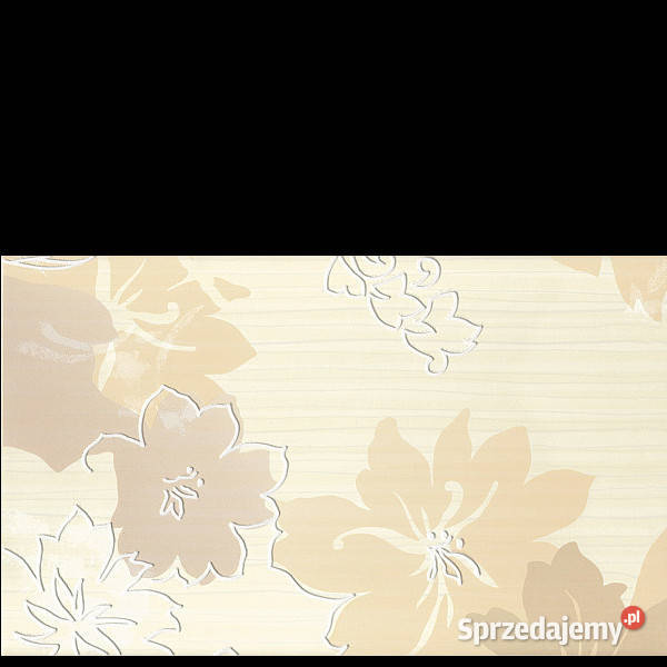 Dekor Delicate beige B 30 x 50 Paradyż aktualne zachodniopomorskie Białogard
