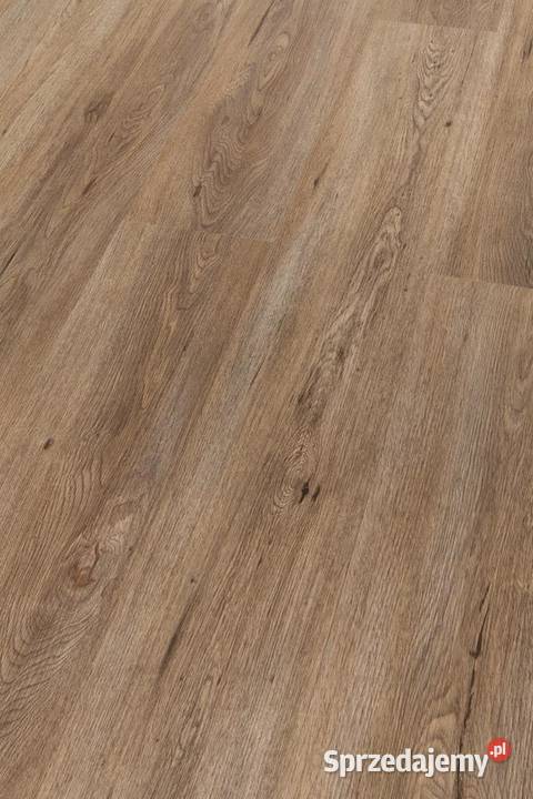 Hydrocork Podłoga winylowa Light Dawn Oak Zielona Góra
