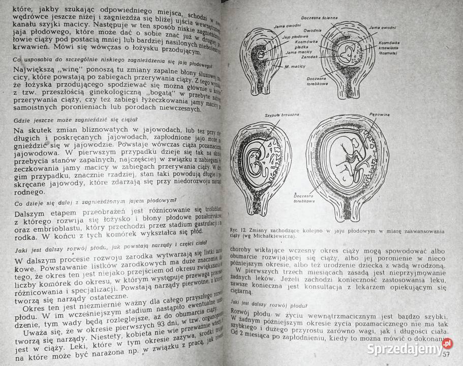 Kobieta mężczyzna dziecko Zbigniew Sternadl Chełm