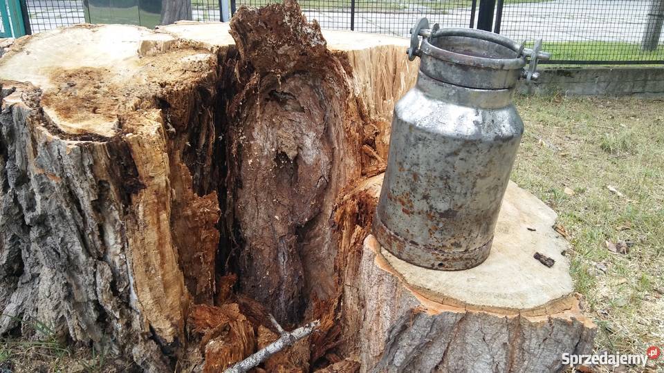 Stara kanka Sosnowiec