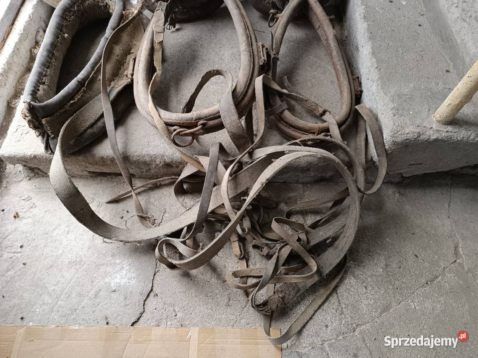 Zabytkowe akcesoria konne chomąto uprząż homonto
