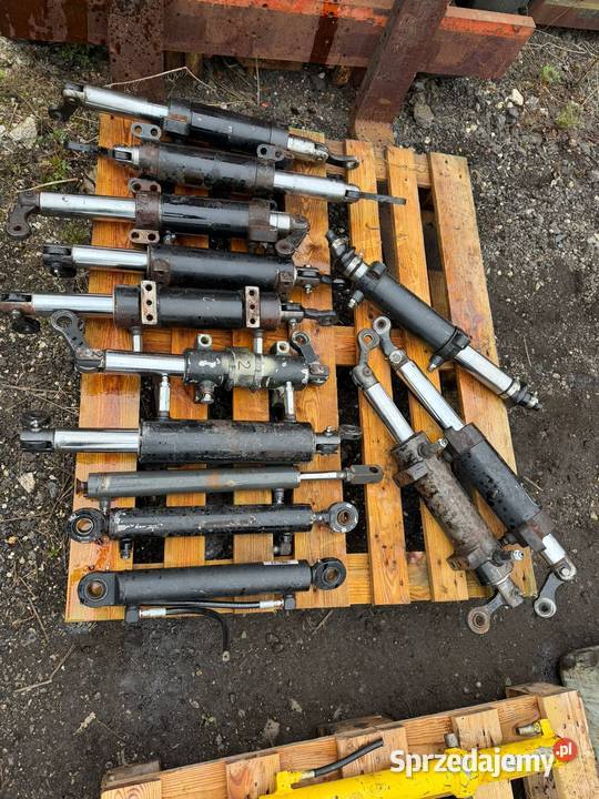 Siłownik hydrauliczny skrętny dwustronnego Antonie