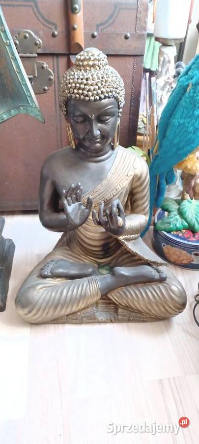 BUDDY najwyższa 118 najniższa 44 nie gips nie Poznań