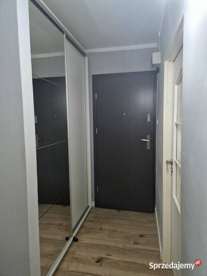 Mieszkanie 50 m2 parter 3 pok Marianki zamiana Świecie