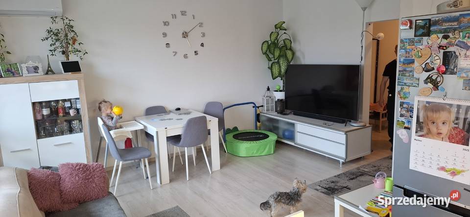 Sprzedam wynajmę mieszkanie 53m2 Zduńska Wola