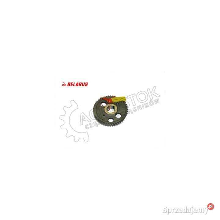 Koło zębate mtz Pozostałe Parczew sprzedam