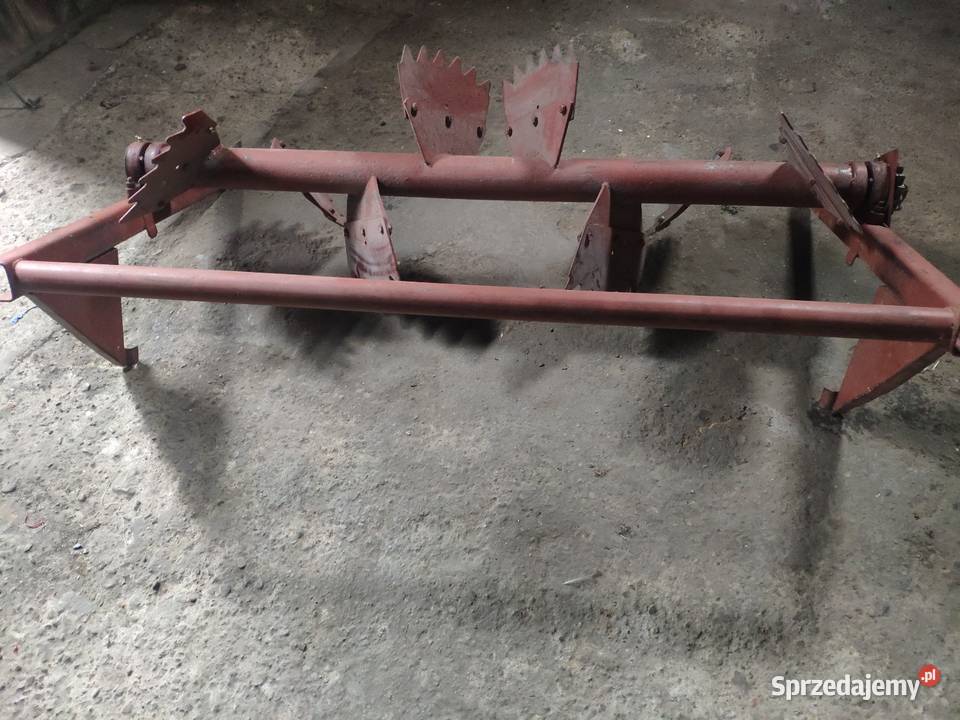 Kolczatka pługa łódzkie Drużbice
