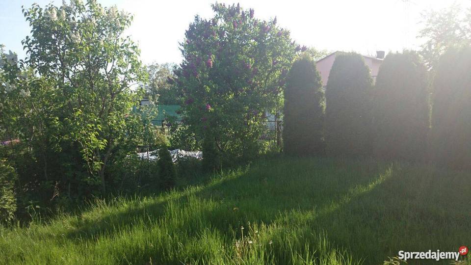 Dzialka ROD Hutnik śląskie sprzedam