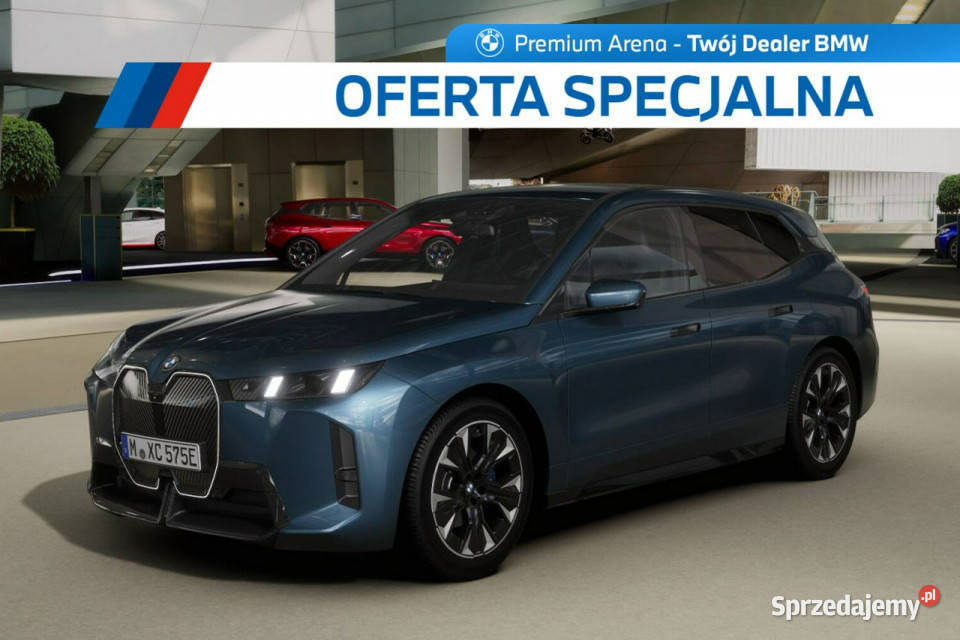 BMW iX iX xDrive60 Dostępne ręki