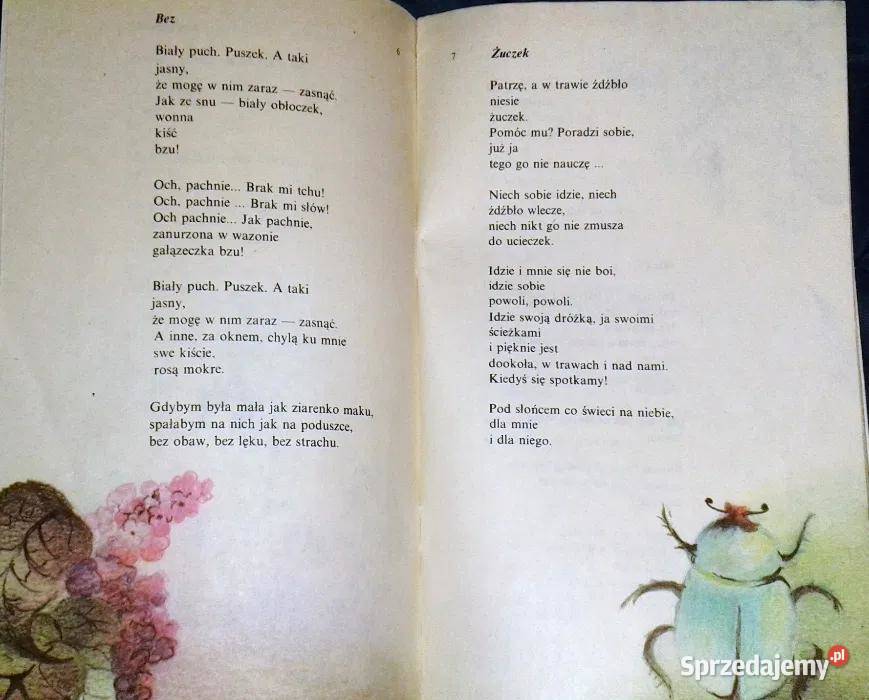 Puchy puszki i poduszki Tadeusz Wyrwa Krzyżański Pozostałe Chełm