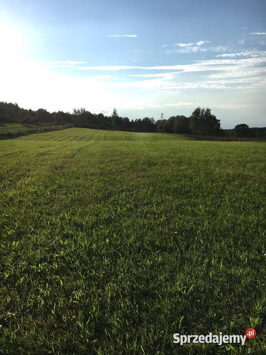 Działka budowlana 12 ar Beskid Wyspowy Kierlikówka sprzedam