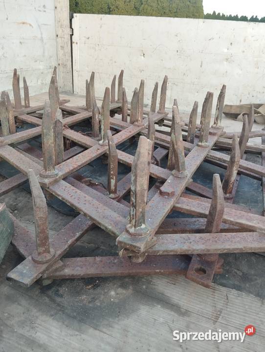 Sprzedam brony ciężkie świętokrzyskie Wilkowa