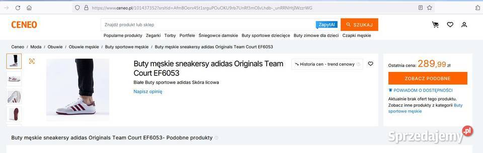 Buty Adidas Team Court Kędzierzyn-Koźle