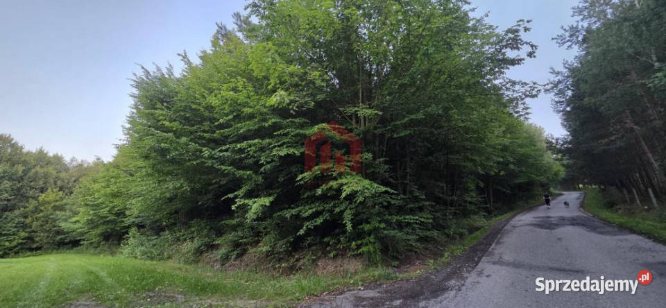 Sprzedaż działki 8500m2 Gogołów