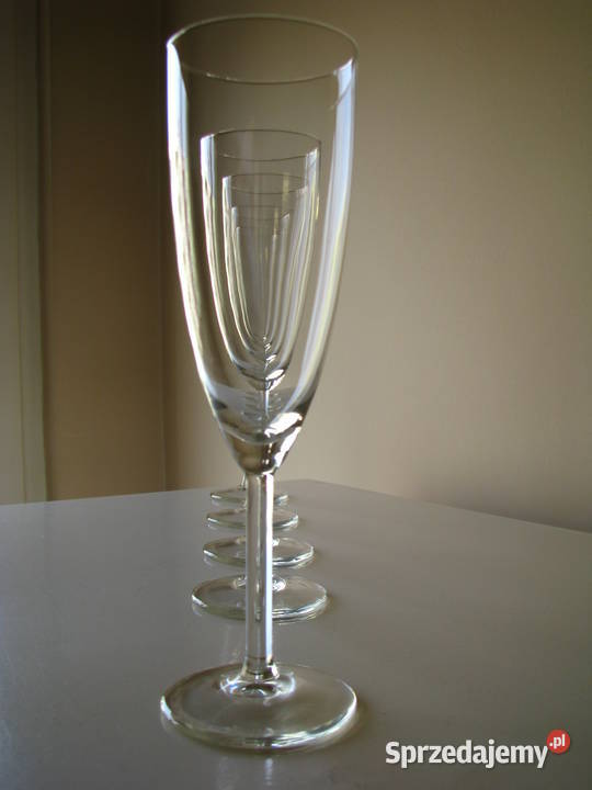 Krystaliczne lampki kieliszki na wino Brzegi