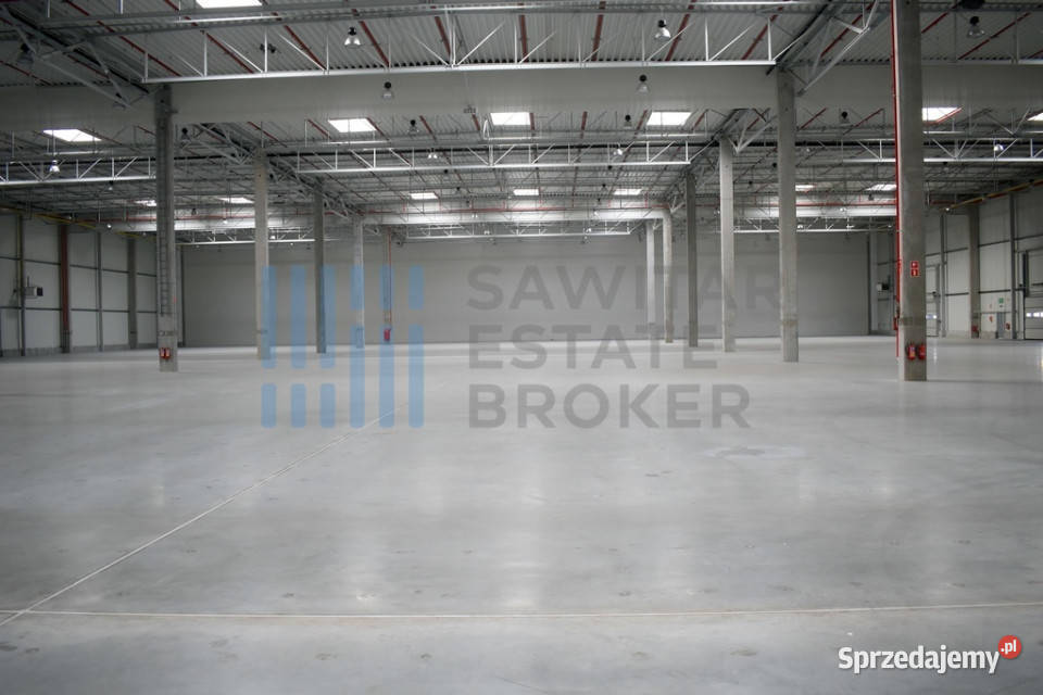 Hala klasyA Dąbrówka bez prowizji Mirków