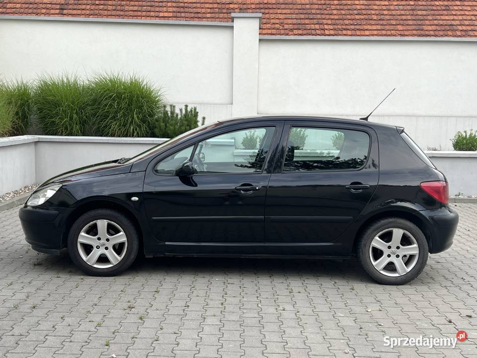 Peugeot 307 20hdi wielkopolskie Konin