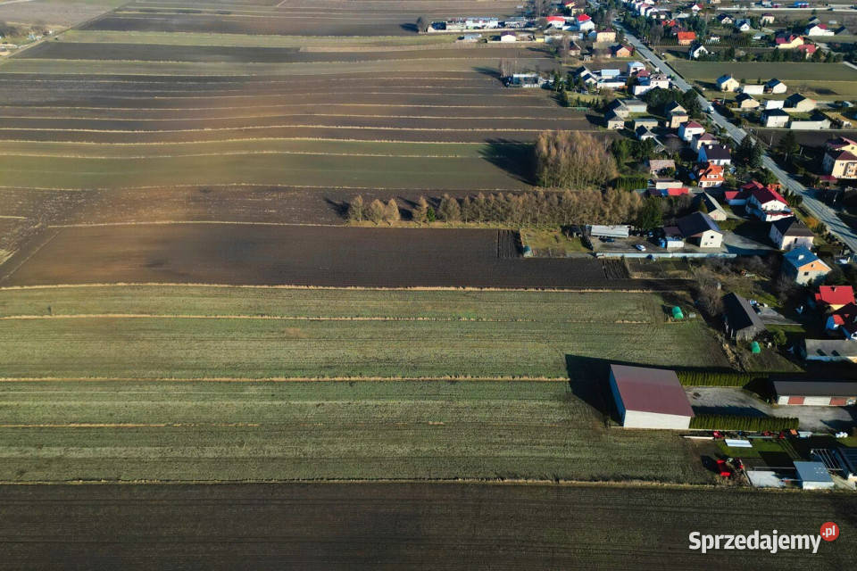 Działka budowlana deweloperska w Miechowie 189zł/m2 Nieruchomości Miechów