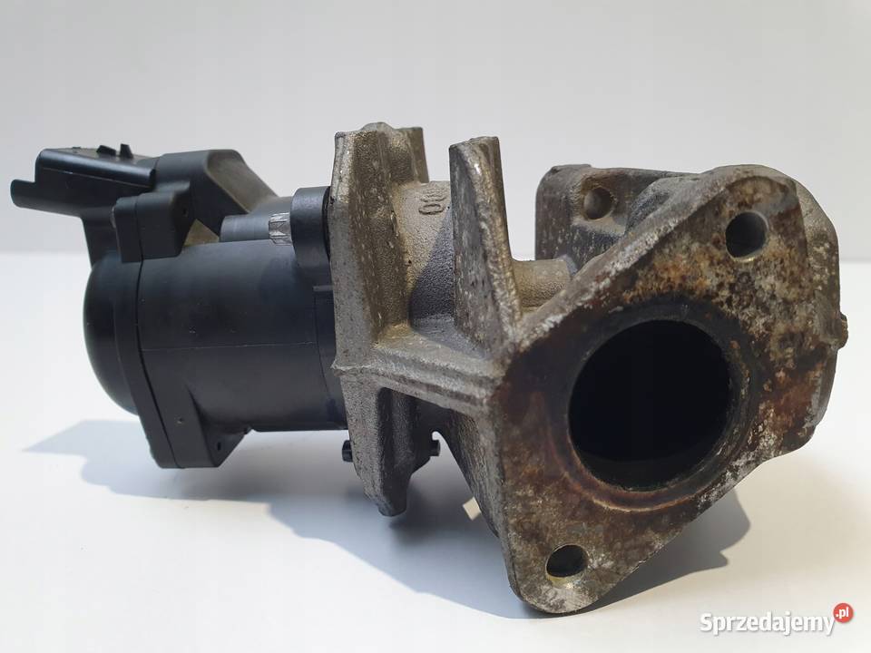 ZAWÓR EGR Ford Focus MK2 II 16 TDCI Chełm