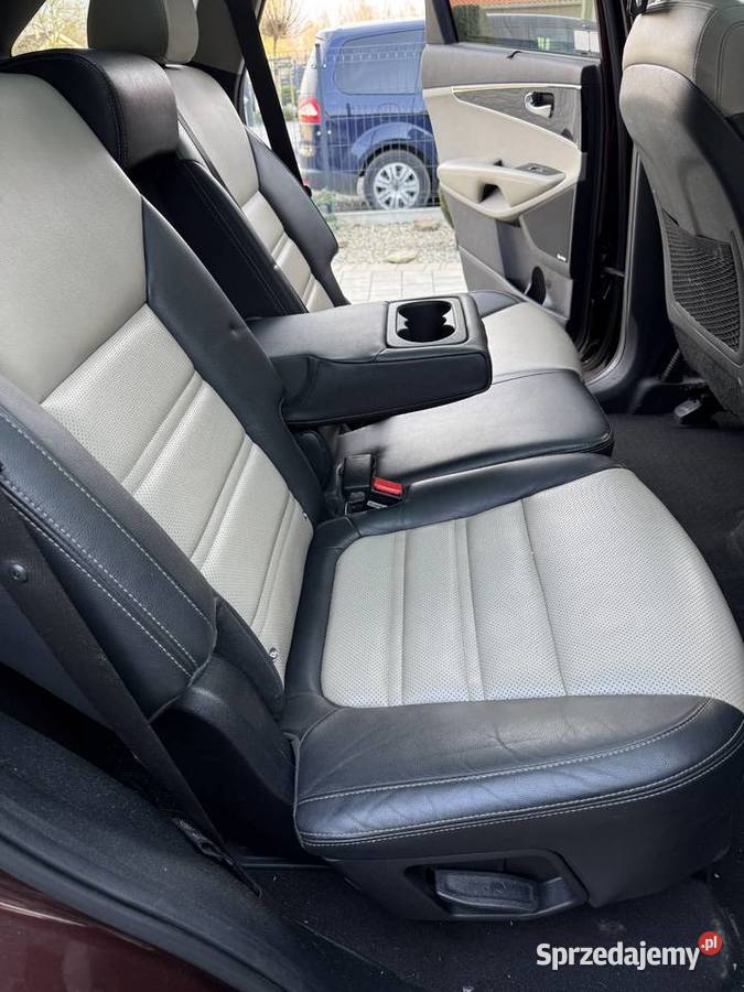 Kia Sorento 20 CRDI Business Line 185KM dolnośląskie Zgorzelec