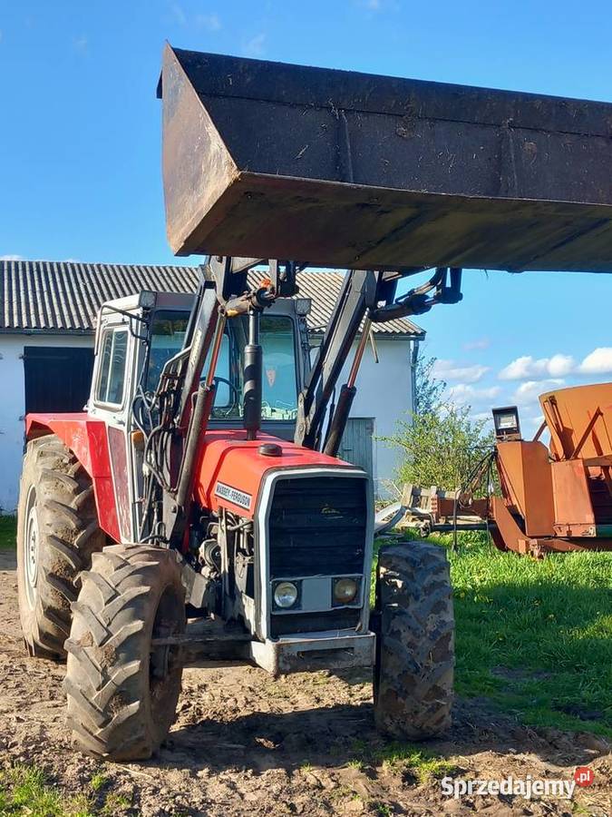 Sprzedam ciągnik massey ferguson 590 z turem Massey Ferguson Pączewo