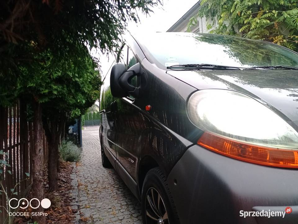 Trafic long 5 osob Syców