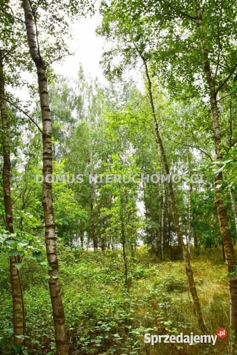 sprzedaży działki 7075m2 Zacywilki łódzkie