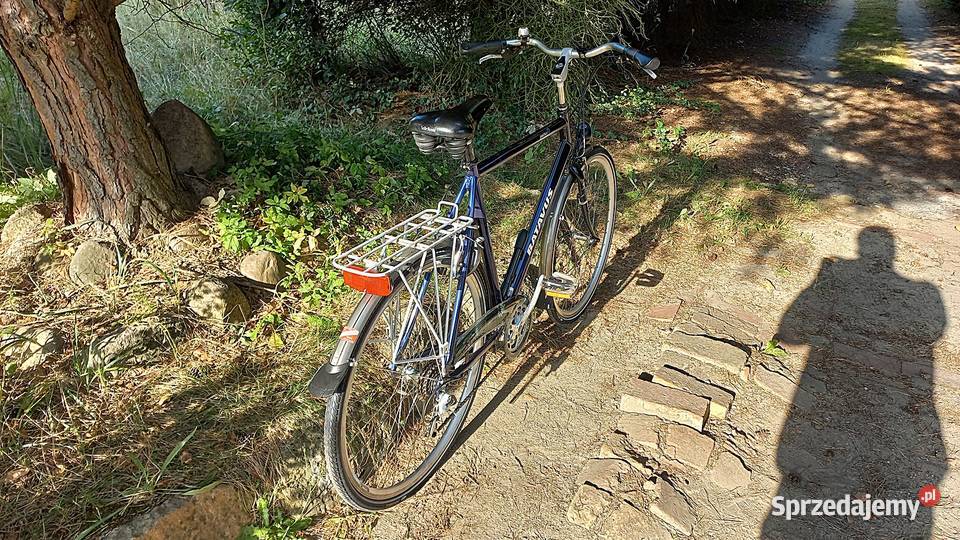 Alu Rower Miejski Męski Holender Batavus Jakima Wołów