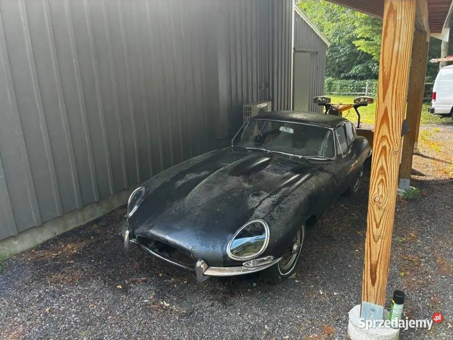 Jaguar EType E-Type łódzkie Krajanka