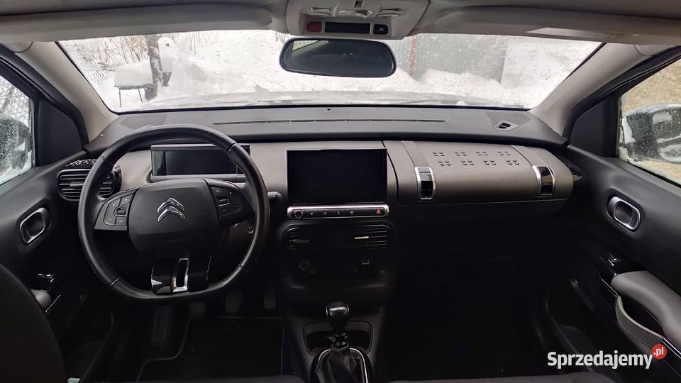 Citron C4 CACTUS 12 Benzyna 75 Rzeszów sprzedam