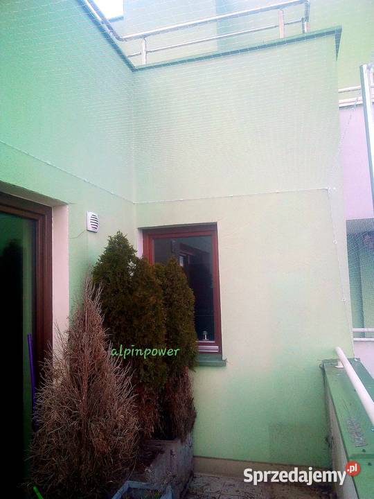 Siatka Kota Na Balkon Okno Taras Montaż Przeciw Warszawa