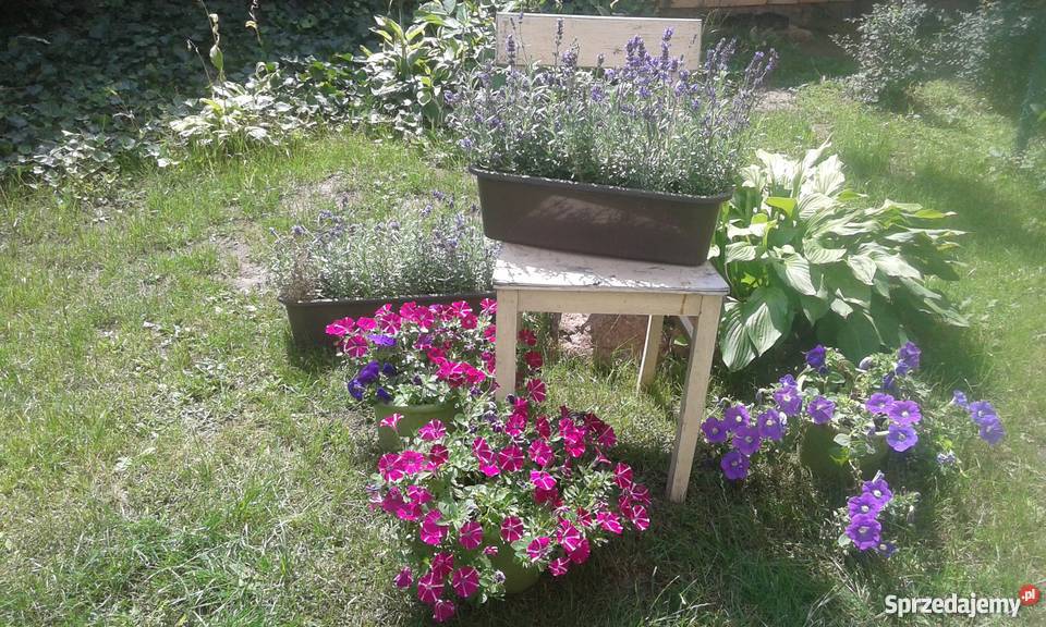 Drewniane Krzesło Kwietnik PRL Pozostałe Poznań sprzedam