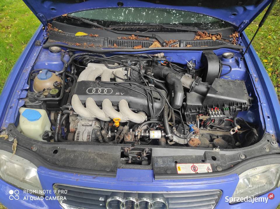 Maska przednia Audi a3 8l Lakieru LY5M osobowe Zawiercie