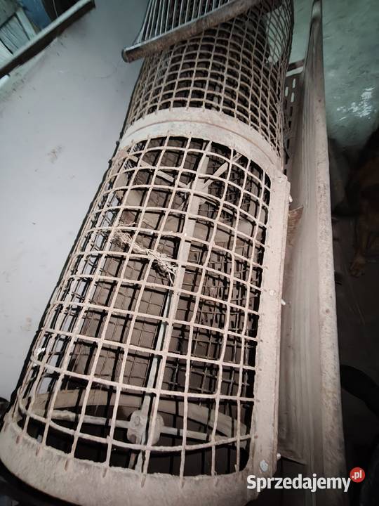 Sortownik do ziemniaków