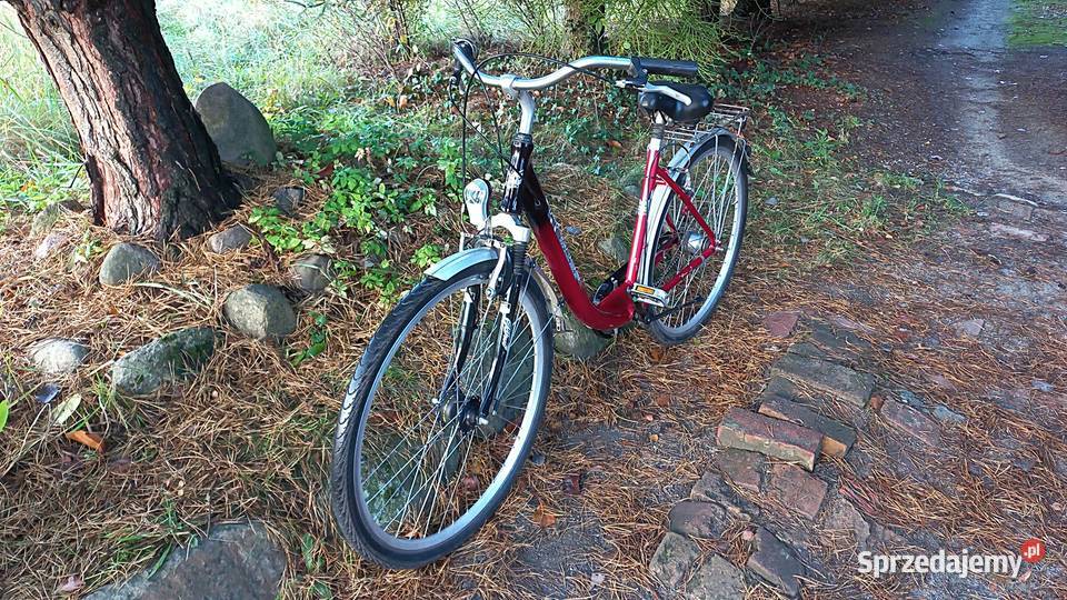 Alu Rower Miejski Damski Prince Damka Łabędź dolnośląskie Wołów