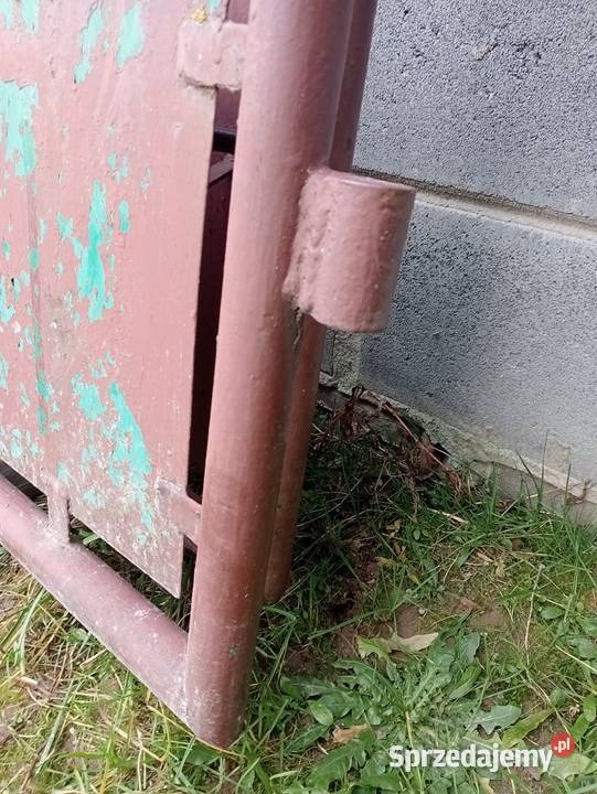 Brama z furtką Biała Rawska