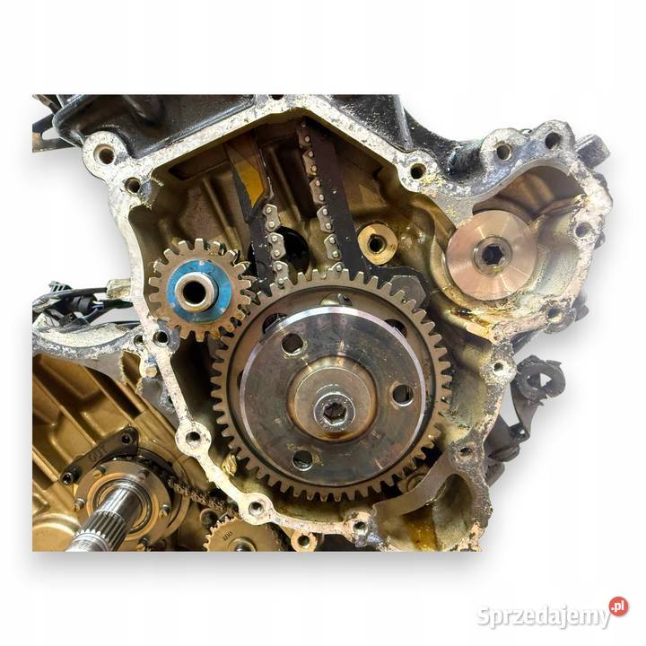 SILNIK Triumph Speed Triple 955i 955 120 Chełm