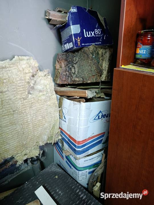 drewno drzewo pieńki sprzedam wielkopolskie Poznań