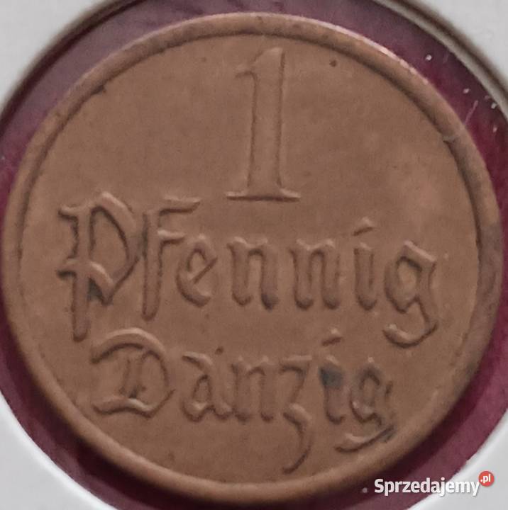 1 Fenig Wolne Miasto Gdańsk 1937 r 1 około Konin