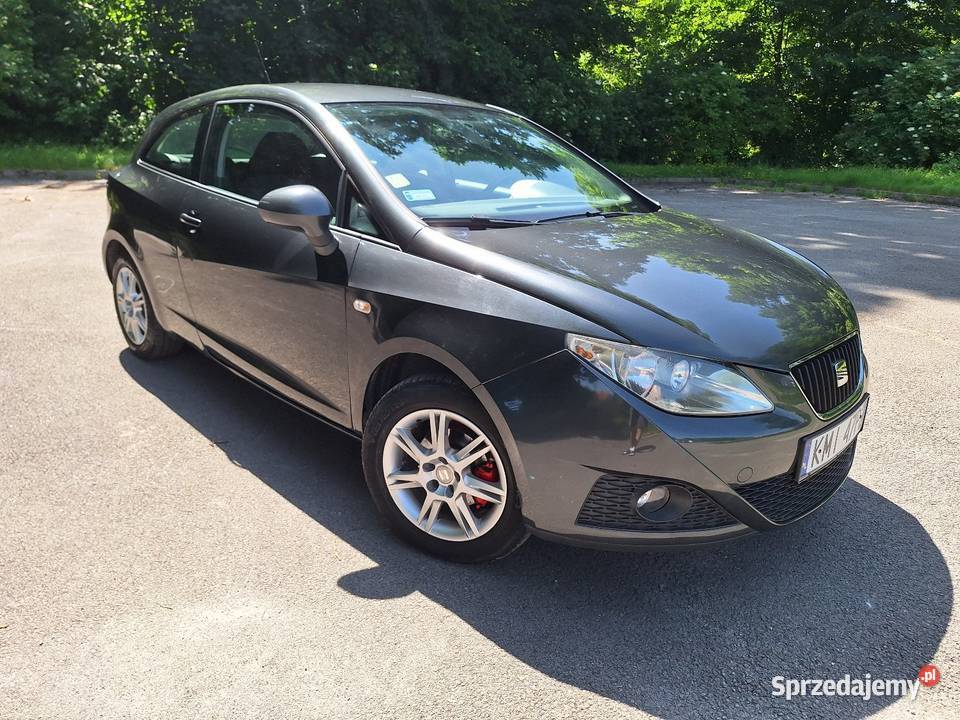 Seat Ibiza Wierzbica