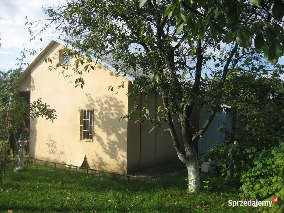 OKAZJA Ogródek działkowy Nysa