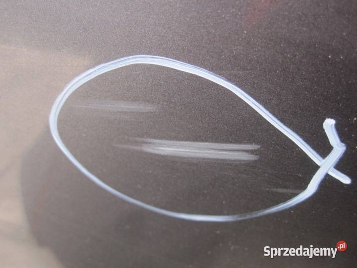 LAND ROVER FREELANDER II L359 07r drzwi prawe osobowe