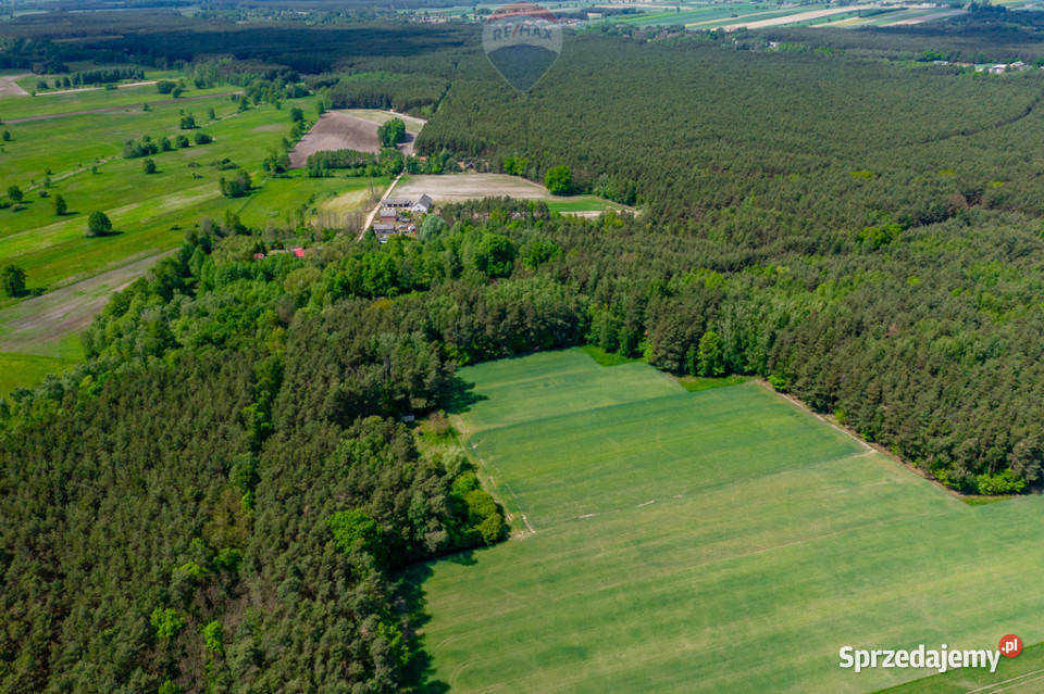 Budowlana 2300 m ze stawem i zielenią Góry Prusinowskie