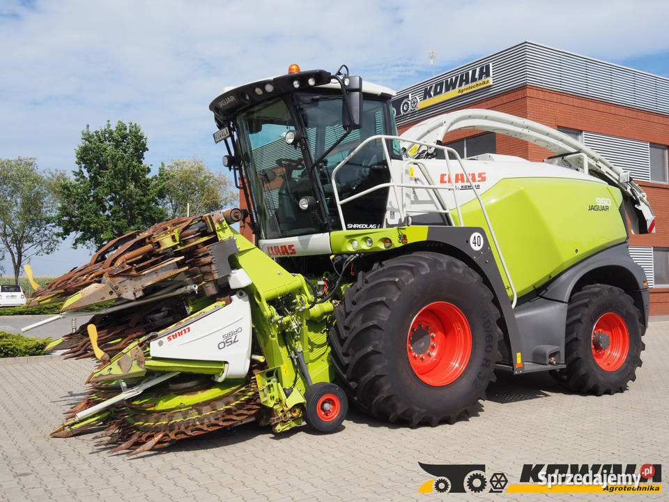 Claas Jaguar 950 4WD Orbis 750 Sieczkarnia wielkopolskie Stęszew sprzedam