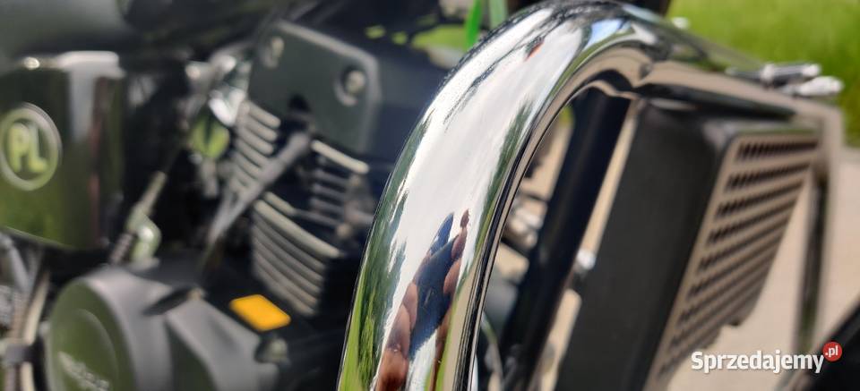 Zipp Raven Lux 125cc chopper Brzeszcze