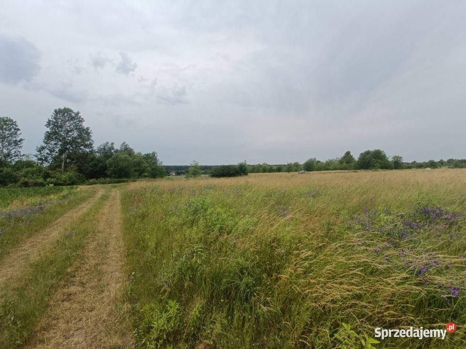 sprzedaży działki 1810m2 Tąpkowice Brynicka 1810m2 śląskie