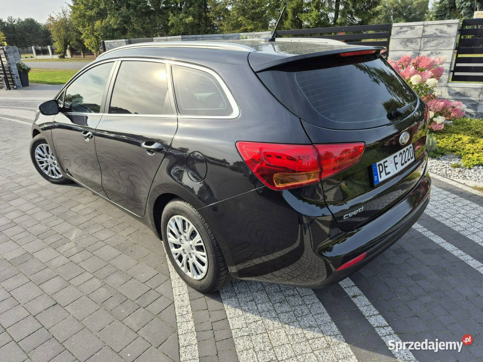 Kia Ceed 16 gdi oświetlenie led Benzyna KAMERA podgrzewane fotele Kia lubelskie Drelów