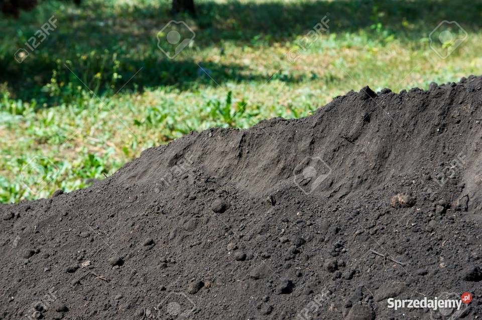 Przyjmę Ziemię Humus Skierniewice łódzkie