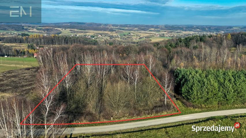 sprzedaży gruntu Niewodna 4500m2