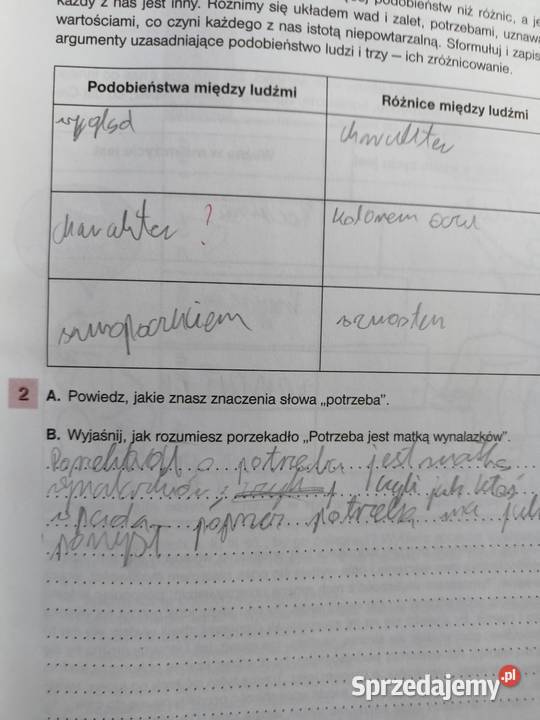 Wiedza o społeczeństwie zeszyt ćwiczeń wos Rok wydania 1999 Podręczniki Warszawa